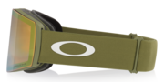 Fall Line L Snow Goggles - Fern