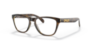 Polished Brown Tortoise