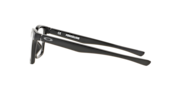 Fenceline™ - Polished Black