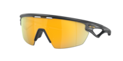 prizm 24k polarized