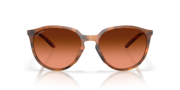 Sielo - Matte Ginger Tortoise