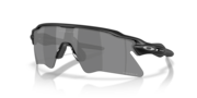 prizm black polarized