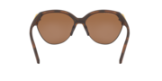 Trailing Point - Matte Brown Tortoise