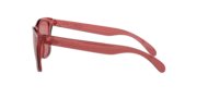 Frogskins™ - Berry