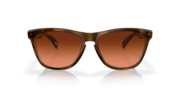 Frogskins™ (Low Bridge Fit) - Matte Brown Tortoise