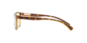 Plungeline™ - Amber Brown Tortoise