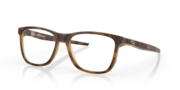 Satin Brown Tortoise