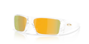 prizm 24k polarized