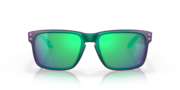 Holbrook™ Troy Lee Designs Series - Troy Lee Designs Matte Purple Green Shift