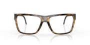 NXTLVL - Polished Brown Tortoise