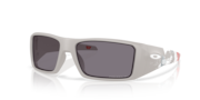 prizm grey polarized