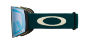 Fall Line L Snow Goggles - Grey Balsam