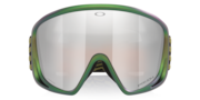 Mont Scape™ L Snow Goggles - Matte Silver Green Colorshift