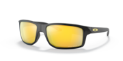 prizm 24k polarized