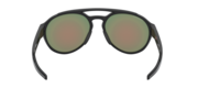 Forager - Polished Black