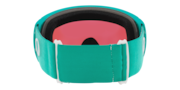 Flight Path L Snow Goggles - Celeste