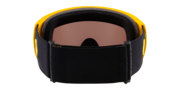 Flight Path L Snow Goggles - Black Stripes