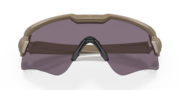 Standard Issue Ballistic M Frame® Alpha Array - Terrain Tan