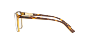 Alias™ - Amber Brown Tortoise