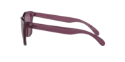 Frogskins™ - Indigo