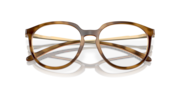 BMNG - Satin Brown Tortoise