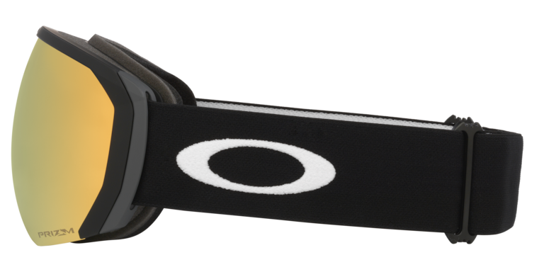 Flight Path L Snow Goggles - Matte Black