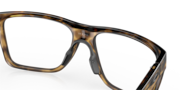 NXTLVL - Polished Brown Tortoise