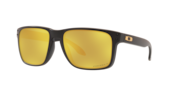 prizm 24k polarized