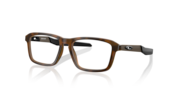 Satin Brown Tortoise