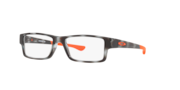 Polished Grey Tortoise