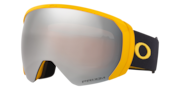 Flight Path L Snow Goggles - Black Stripes