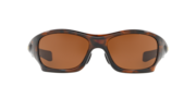 Pit Bull™ (Low Bridge Fit) - Brown Tortoise