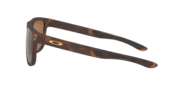 Holbrook™ R - Matte Dark Brown Tortoise