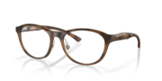 Satin Brown Tortoise