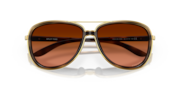Split Time - Brown Tortoise