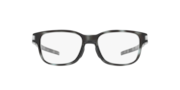 Latch™ SS (TruBridge™) - Polished Grey Tortoise