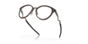 Cognitive R - Polished Brown Tortoise