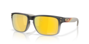 Holbrook™ Troy Lee Designs Series Holbrook™ Troy Lee Designs Series