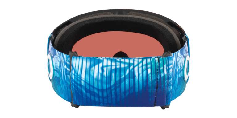 Flight Deck™ L Mikaela Shiffrin Signature Series Snow Goggles - Blue