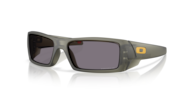 prizm grey polarized