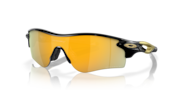 prizm 24k polarized