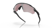 Radar® EV Path® - Matte Black