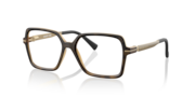 Satin Brown Tortoise