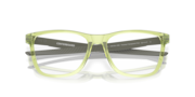 Centerboard - Polished Transparent Fern