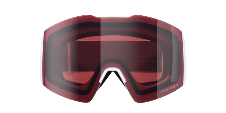 Fall Line L Snow Goggles - Matte White