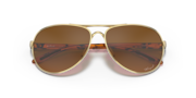 Feedback - Polished Gold