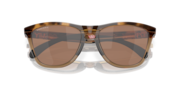 Frogskins™ Range (Low Bridge Fit) - Brown Tortoise/Brown Smoke