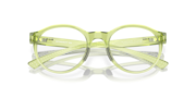 Spindrift - Polished Translucent Fern