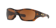 Pit Bull™ (Low Bridge Fit) - Brown Tortoise