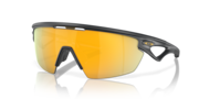 prizm 24k polarized